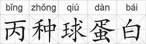 丙种球蛋白的拼音