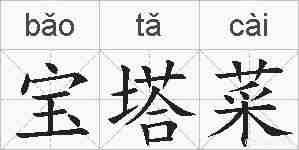 宝塔菜的拼音