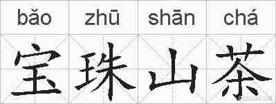 宝珠山茶的拼音