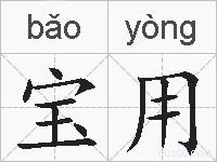 宝用的拼音