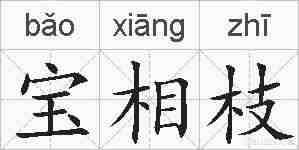 宝相枝的拼音