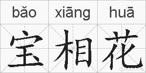 宝相花的拼音