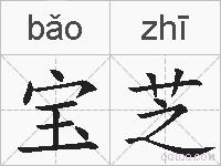 宝芝的拼音