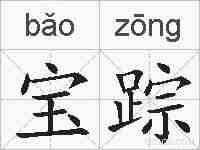 宝踪的拼音
