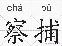 察捕的拼音