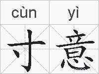 寸意的拼音