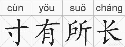 寸有所长的拼音