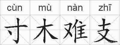 寸木难支的拼音
