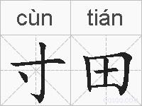 寸田的拼音