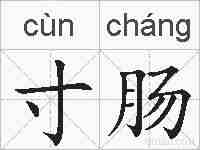 寸肠的拼音