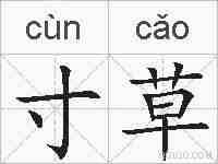 寸草的拼音