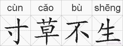 寸草不生的拼音