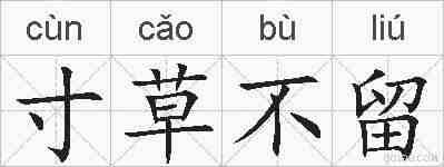 寸草不留的拼音