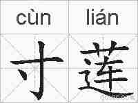 寸莲的拼音