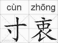 寸衷的拼音