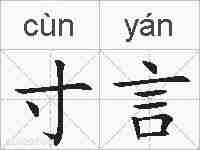 寸言的拼音