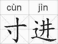 寸进的拼音