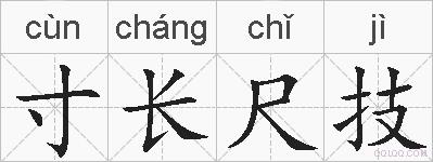 寸长尺技的拼音