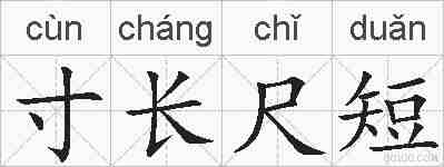 寸长尺短的拼音
