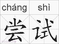 尝试的拼音