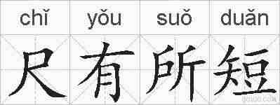 尺有所短的拼音