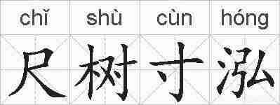 尺树寸泓的拼音