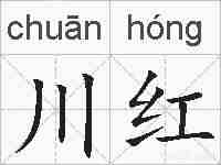 川红的拼音