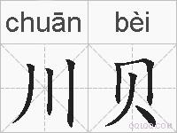川贝的拼音
