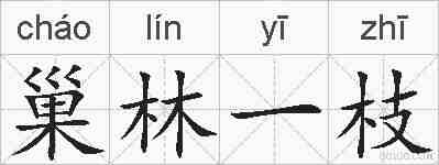 巢林一枝的拼音