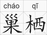 巢栖的拼音