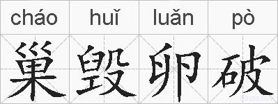 巢毁卵破的拼音