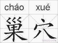 巢穴的拼音