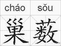 巢薮的拼音