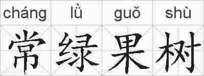常绿果树的拼音