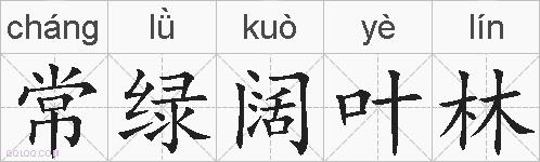 常绿阔叶林的拼音