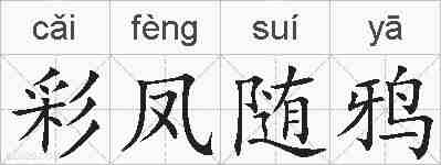 彩凤随鸦的拼音