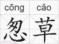 怱草的拼音