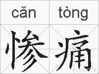 惨痛的拼音