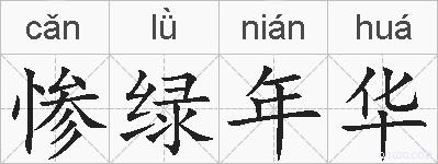 惨绿年华的拼音