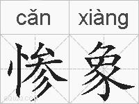 惨象的拼音