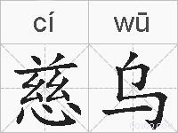 慈乌的拼音