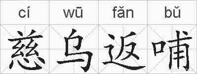 慈乌返哺的拼音
