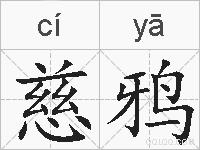 慈鸦的拼音