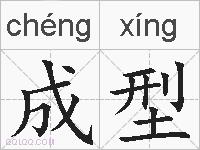 成型的拼音