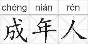 成年人的拼音