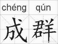 成群的拼音