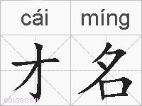 才名的拼音