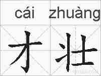 才壮的拼音