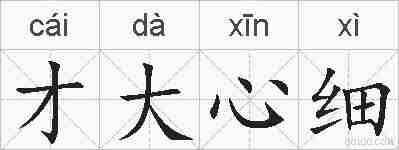 才大心细的拼音