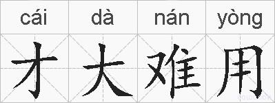 才大难用的拼音